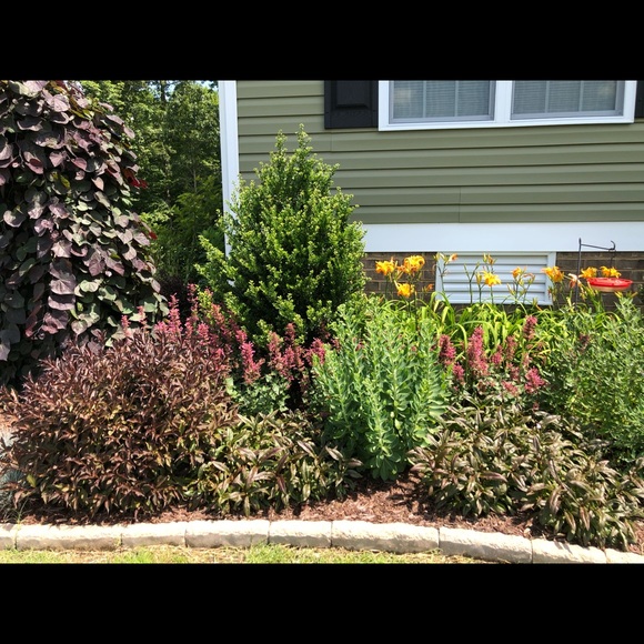 Meet your Posher, Meg - Picture 1 of 7